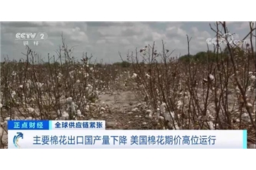 央視調(diào)查：棉花大漲！服裝訂單量下滑，外貿(mào)企業(yè)面臨“三座大山”